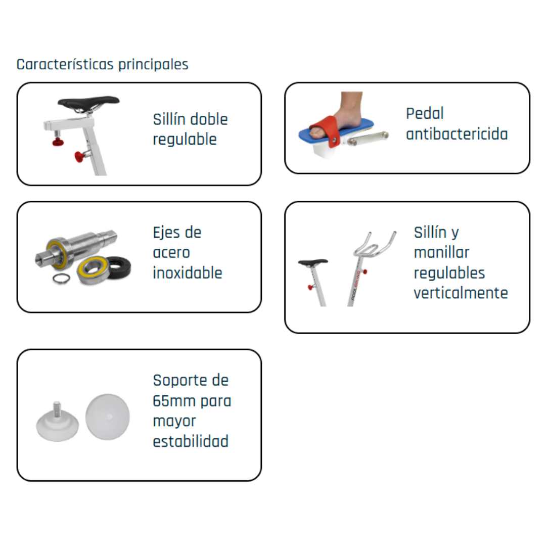 Multimedia Web (6)